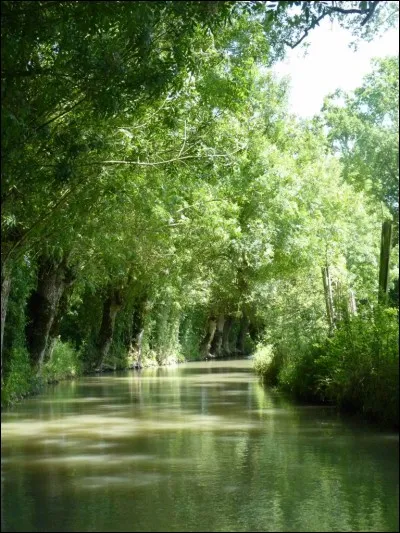 Pour Fleur de Saule, qui est Tornade Blanche ?