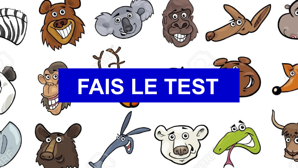 Test de personnalité Quel animal estu