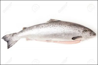 Ce poisson est ...