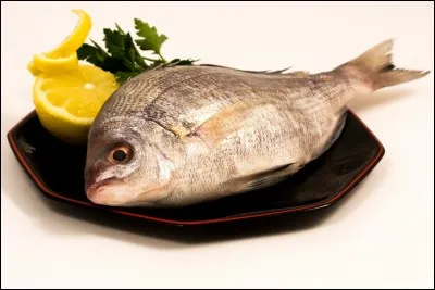 Quel est ce poisson ?