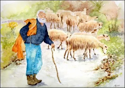 Après des mois passés avec son troupeau, le vieux berger a des houlettes râpées sur les chemins montagneux corses.