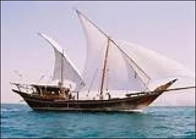 Quel extraordinaire fouillit de boutres emplissait en permanence le port du Cap !