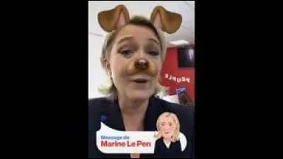 Quel est l'animal préféré du Stylo ?