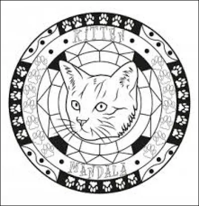 Mollusque marin gastéropode sans coquille et aux branchies nues :