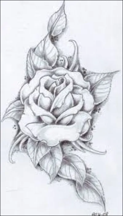 "Rida + sen" forment un nouveau mot. Quelle est sa définition ?