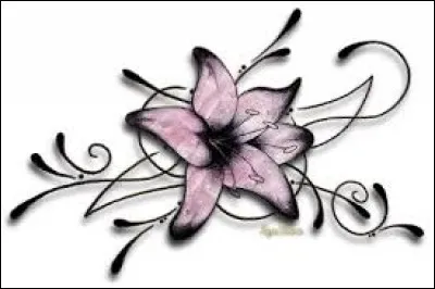 "Plie + tan". Mélangez et trouvez la bonne définition !