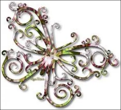 "Pica + tao". Cochez la bonne réponse.