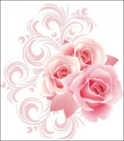 "Colo + chat" forment un autre mot qui a pour définition...