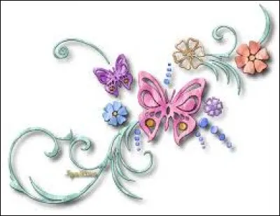 "Selle + bai". La définition du nouveau mot est...