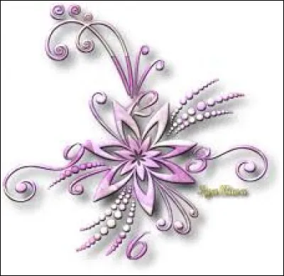 "Trou + dame" forment un nouveau mot. Quelle est sa définition ?