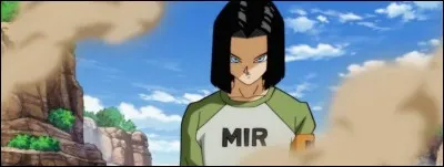 Combien d'enfants a C-17 ?