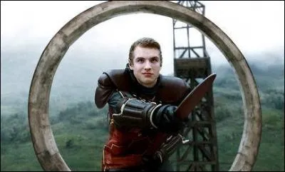 Qui est ce joueur de l'quipe de Quidditch de Gryffondor?