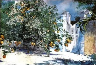 Si je vous dis : « Ça peut se faire avec le pied », vous répondez :