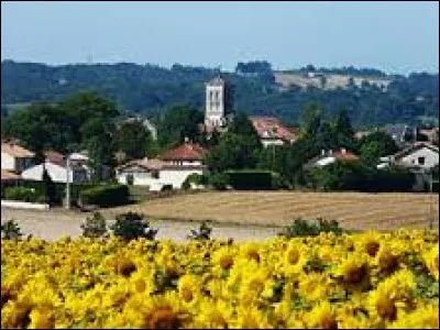 Caché derrière ces tournesols, vous avez Gout-Rossignol. Village Périgourdin, il se situe en région ...