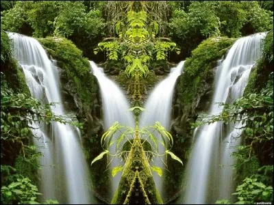 Quand une faute - une erreur - en entraîne une autre.