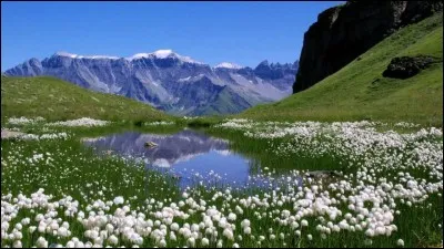 Si ce que je vous dis ne vous convient pas, que me répondez-vous ?