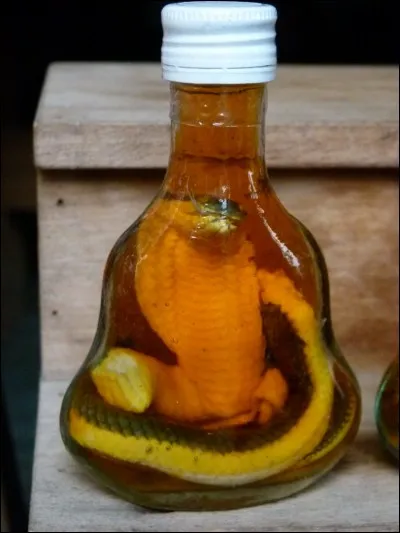 Gastronomie : Dans quel pays, peut-on trouver de l'alcool de serpent ?