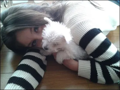 Son animal préféré est...