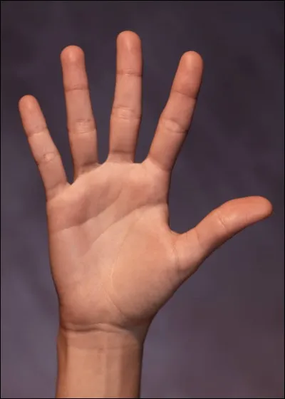 Quel club a remporté cinq titres d'affilée ?