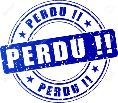 Quel pays a perdu en finale de Coupe du monde 2002 ?