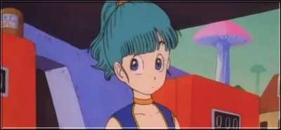Quel vu Bulma voudrait-elle exaucer grâce aux Dragon Balls ?