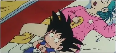 Gokū a déjà enlevé sa culotte à Bulma.