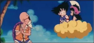 Parmi les personnages suivants, lequel n'a jamais été un disciple de Kame-sennin ?