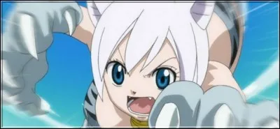 (Épisode 105) 
Contre qui Lisanna se bat-elle sur l'île Tenrō ?