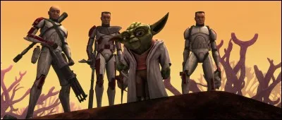 Comment s'appellent les clones qui accompagnent le Maître Yoda pour rencontrer le roi Katuunko ?