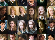 Quiz Les baguettes dans 'Harry Potter'