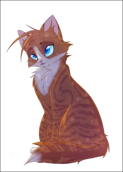 "Dans nuit étoilée", c'est...