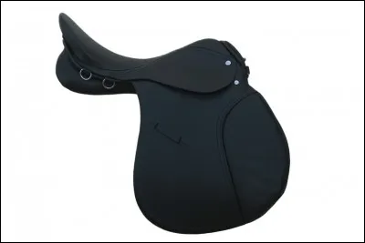 Quelle partie de la selle n'existe pas ?