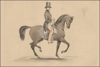 Comment montons-nous à cheval ?