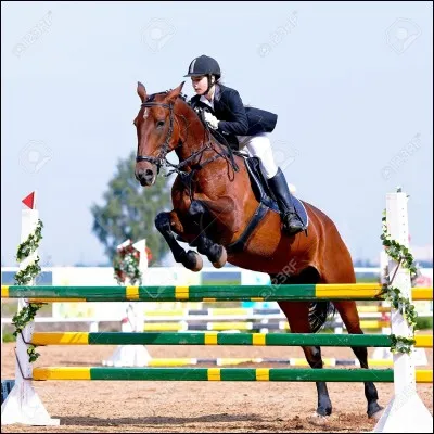 Comment s'appelle ce qui tient les barres pour sauter ?