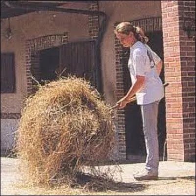 De quoi s'occupe un palefrenier ?