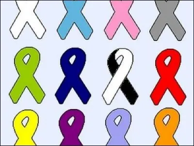 Sous quel président de la République a été mis en place le premier plan cancer en France ?