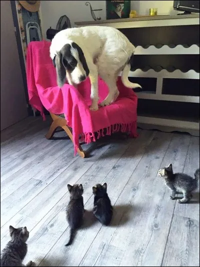 Autre expression, qui colle bien à la photo !