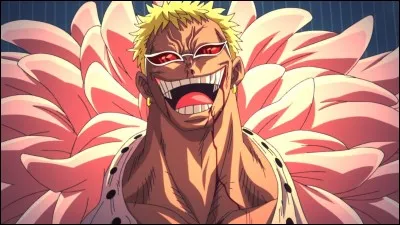 Qui a battu Doflamingo ?