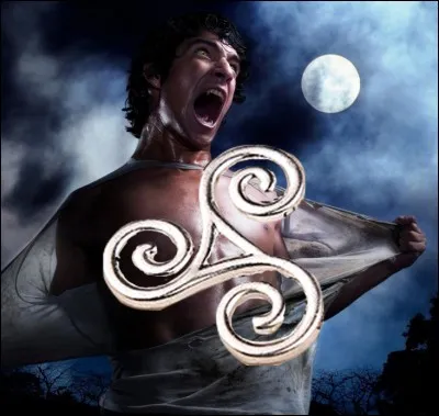 Pour toi, quel garçon est le plus beau ?