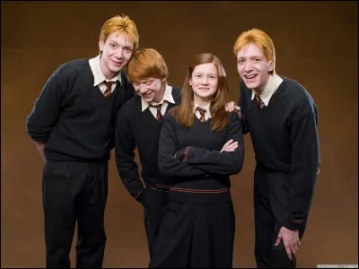 Où Fred et George pensaient-ils que Ginny aurait été envoyée par le Choixpeau ?
