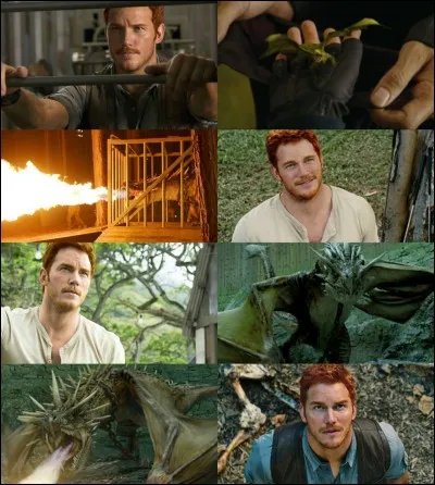 Quand est né Charlie Weasley?