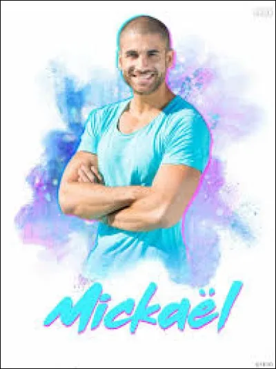 Quel est l'objectif professionnel de Mickaël ?