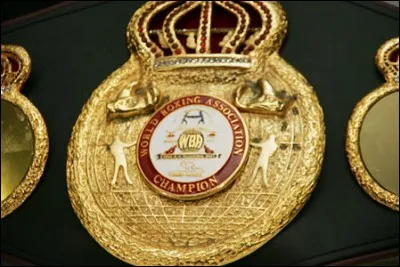 En 2008, quel boxeur a conservé sa ceinture de champion du monde poids lourds de la WBA après avoir battu aux points Evander Holyfield à Zurich ?