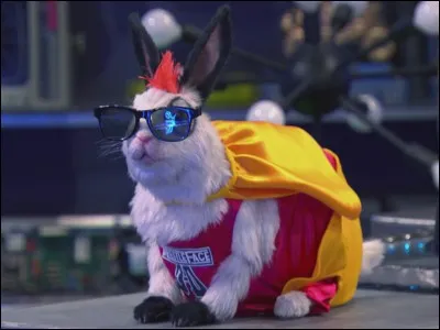 Comment s'appelle leur lapin ?