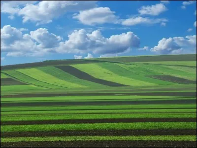 Ses quoi que sa fait si on roule dans le champ avec des pneu standart ou large qui il y a quelque chosse qui pousse?