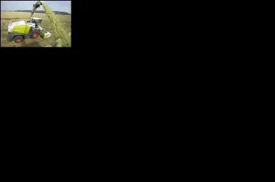 Quand on dit "Moise-batte" ça signifie ...