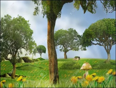 Que reste-t-il hors de terre après le passage d'une bourrasque ayant abattu le cèdre bleu de votre jardin mais sans le déraciner ?