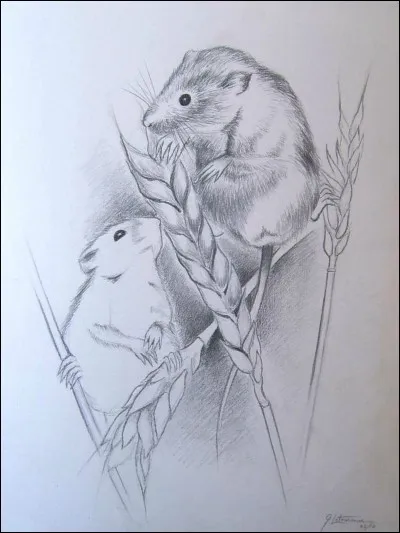 Un rat sur la sc&egrave;ne.