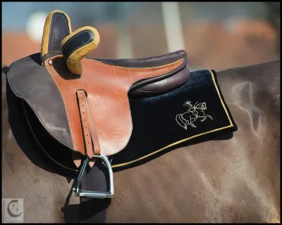 On peut faire du cross avec une selle de CSO ou se promener avec une selle de dressage, mais pour quel usage est réservé cette selle?