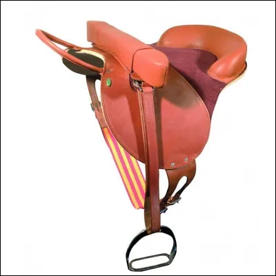 Trouvez la bonne monture pour celle-ci.